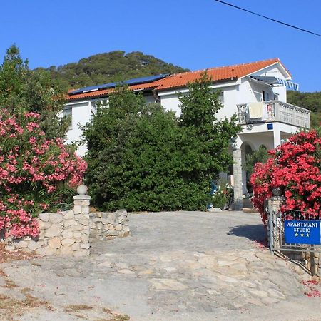 Apartments With A Parking Space Preko, Ugljan - 8224 Exterior foto