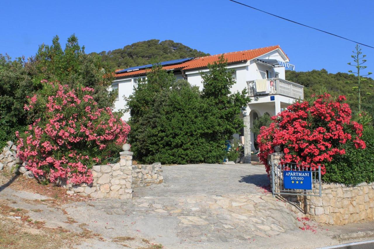 Apartments With A Parking Space Preko, Ugljan - 8224 Exterior foto